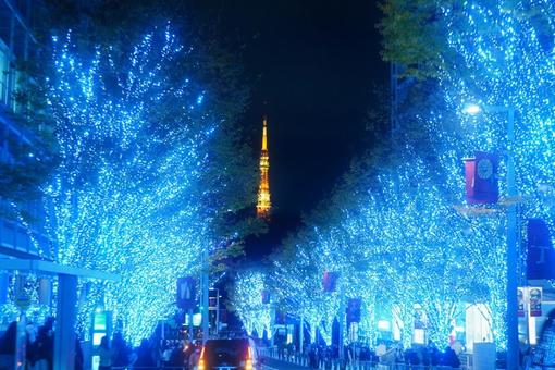 東京タワーとイルミネーションの写真