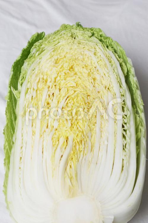 食品シリーズ　ハクサイ 野菜,新鮮,緑の写真素材