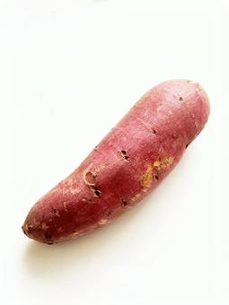 さつまいも 1本 素材画像3 さつまいも 1本 素材画像3 さつまいも,秋,芋の写真素材