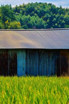 古びたトタン屋根の倉庫 小屋,納屋,田舎の写真素材
