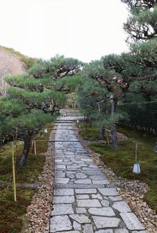 圓光寺　参道 圓光寺,参道,瑞巌山の写真素材