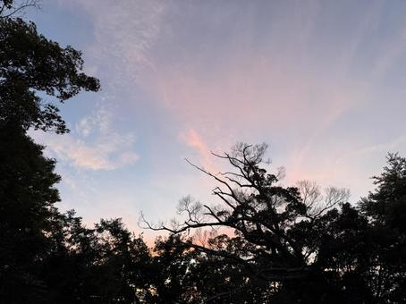 Fantastic summer sky, JPG