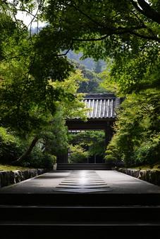 風情 風情 マイナスイオン,南禅寺,三井寺の写真素材