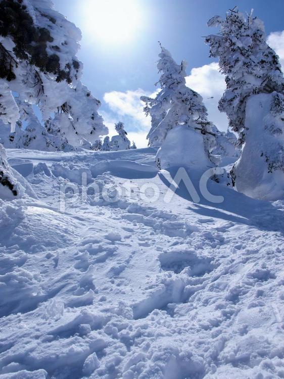 蔵王、冬、樹氷 蔵王,冬,雪の写真素材