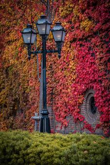 北海道　札幌ファクトリーの秋の風景 北海道,札幌,札幌市の写真素材