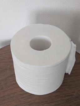 トイレットペーパー(別角度) トイレットペーパー(別角度) トイレ,紙,トイレットペーパーの写真素材