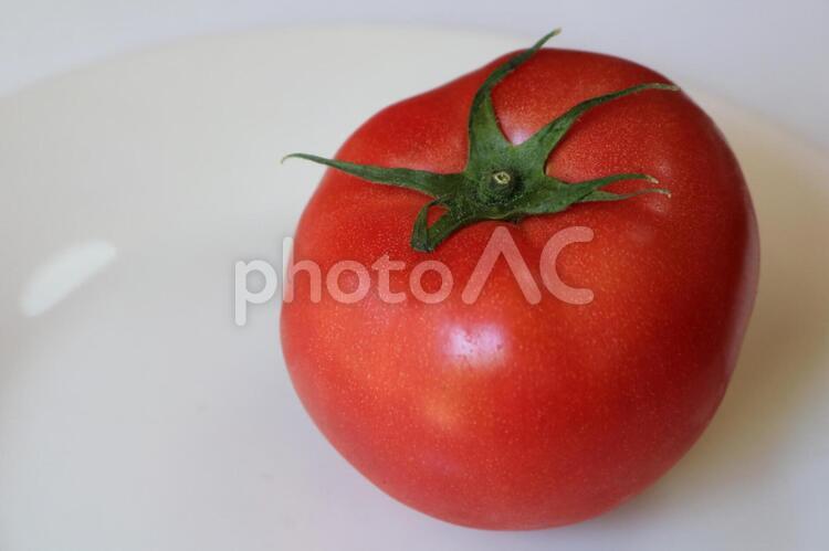 トマトフレッシュ新鮮糖度余白農家直送 トマト,野菜,フルーツの写真素材