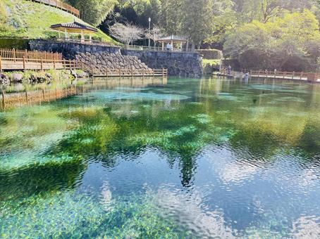 丸池湧水 湧水,風景,景色の写真素材