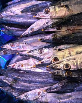 秋の味覚さんま 魚,秋刀魚,秋の味覚の写真素材
