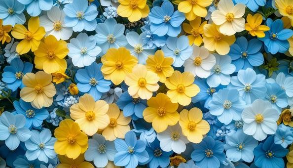 花を寄せ集めた鮮やかな背景写真素材 花を寄せ集めた鮮やかな背景写真素材の写真