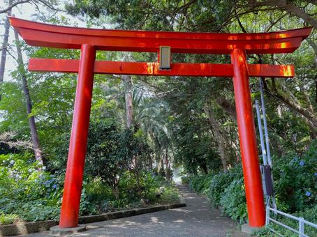 諸口神社西の鳥居 諸口神社西の鳥居の写真