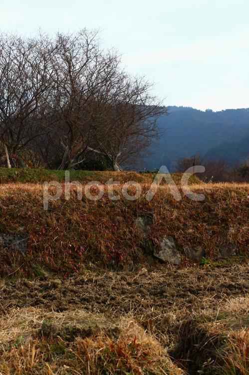 田舎の風景 山,自然,景色の写真素材