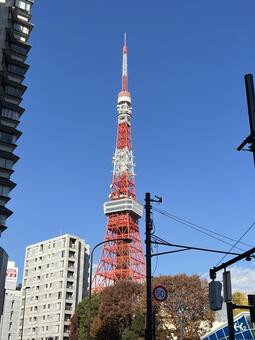 青空と東京タワー 東京タワー,塔,青空の写真素材
