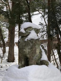 雪を被った狛犬 雪を被った狛犬の写真