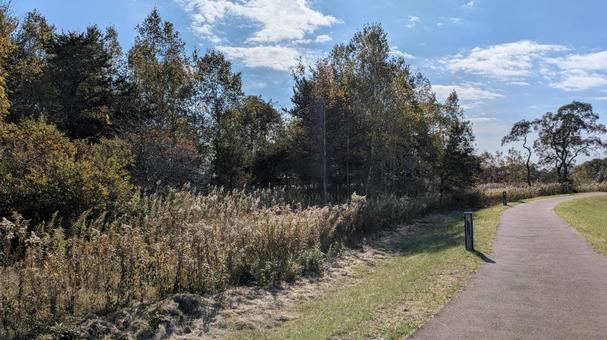 お散歩　秋の写真