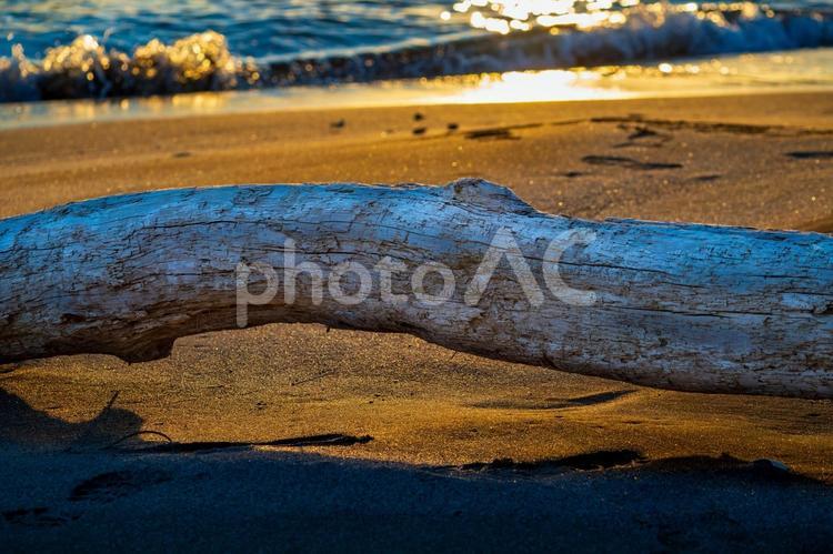 牡鹿半島の夕景(22) 夕日,夕暮れ,海の写真素材