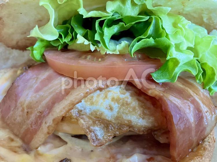 ハンバーガーの断面 blt,断面アップ,ハムの写真素材