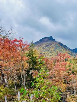 北海道 黒岳 北海道 黒岳の写真