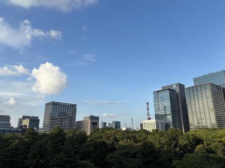 東京のビル群を望む 東京のビル群を望むの写真