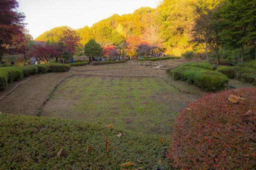 東京の田舎 東京の田舎の写真