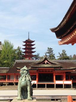 厳島神社 厳島神社 厳島神社,広島,観光名所の写真素材
