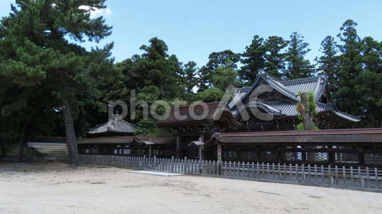 専修寺　御廟　拝堂　唐門　透塀 専修寺,一身田専修寺,真宗高田派の写真素材