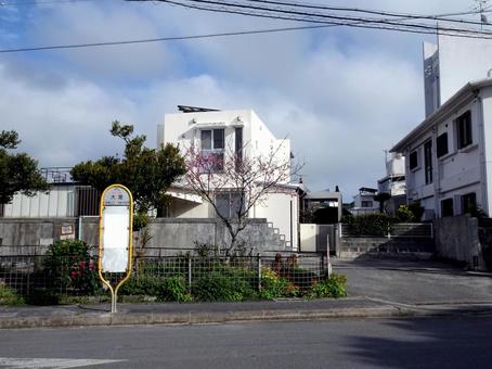 大里バス停(糸満市) 大里バス停(糸満市) 大里バス停留所,沖縄県糸満市大里,標識板の写真素材