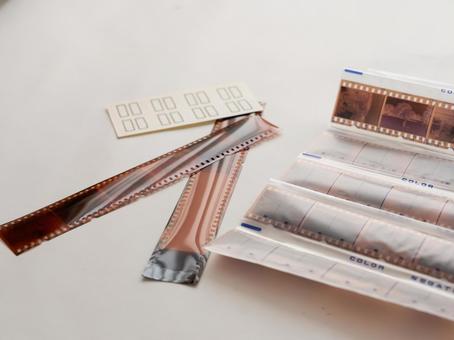 何本かのネガフィルム ネガフィルム,フイルム,ネガの写真素材