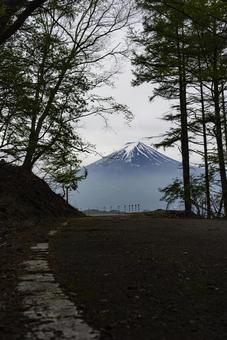 山梨県河口湖町から望む初夏の富士山 富士山,河口湖町,山梨県の写真素材
