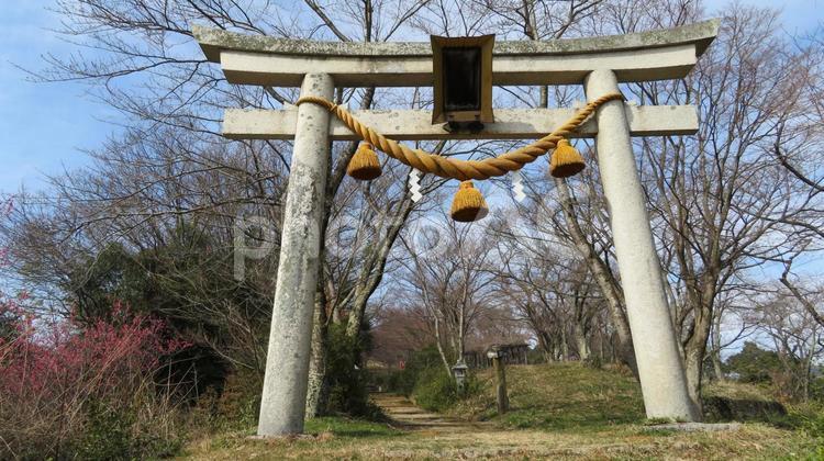 虎御前山城　城跡に建つ矢合神社の鳥居 虎御前山城,陣城,小谷城攻略の写真素材