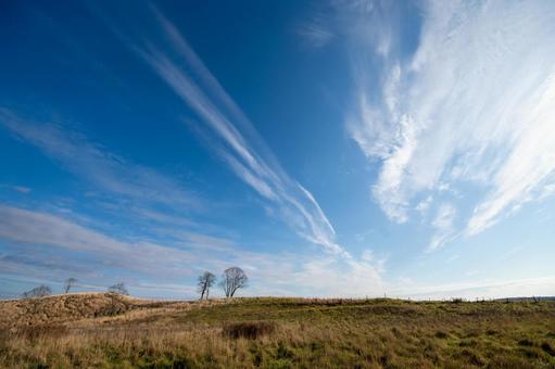 枯れた丘と原野に佇む裸木と青空の筋雲 丘,草原,初冬の写真素材