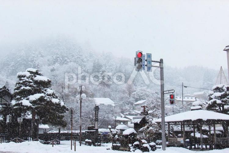 真っ白な風景 木,鳥,雪山の写真素材