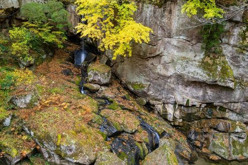 秋の磊々峡(29) 秋,紅葉,磊々峡の写真素材