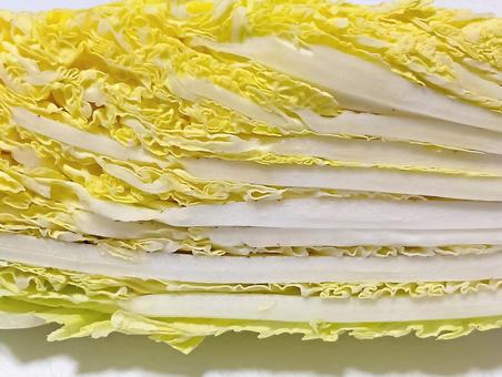 白菜 白菜,野菜,食材の写真素材