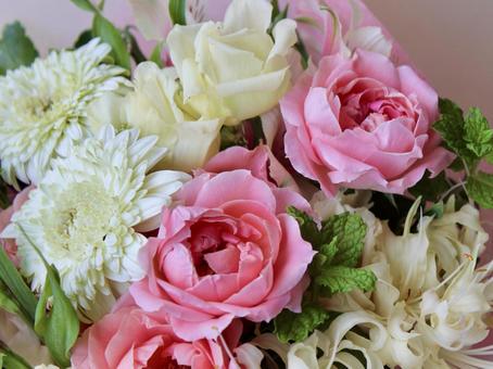 ピンクのバラと白ガーベラの花のズーム ピンクのバラと白ガーベラの花のズーム 花,バラ,ガーベラの写真素材