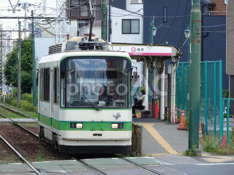 都電電荒線（東京さくらトラム） チンチン電車,梶原駅,東京さくらトラムの写真素材