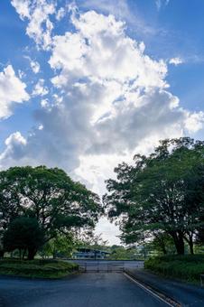 夕方の観音池公園 夕方の観音池公園 観音池公園,青空,空の写真素材