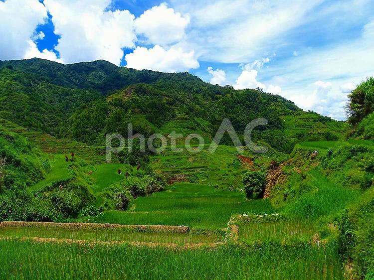 イフガオ州バナウエ町のビューポイント棚田 フィリピン,イフガオ,バナウエの写真素材