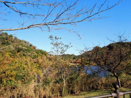 秋の笹川湖＆湖畔の紅葉（千葉県・君津市） 秋,笹川湖,紅葉の写真素材