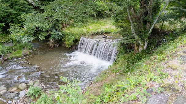 水源近くの小さな小川 水源近くの小さな小川 水源地,川,滝の写真素材