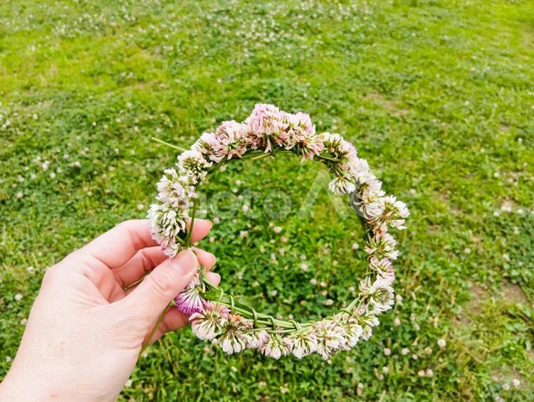 シロツメクサの花冠を持つ手 花冠,シロツメクサ,クローバーの写真素材
