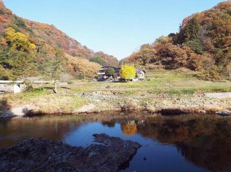 【紅葉写真】美しい紅葉 紅葉,自然,風景の写真素材