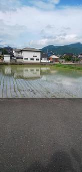 田 田の写真
