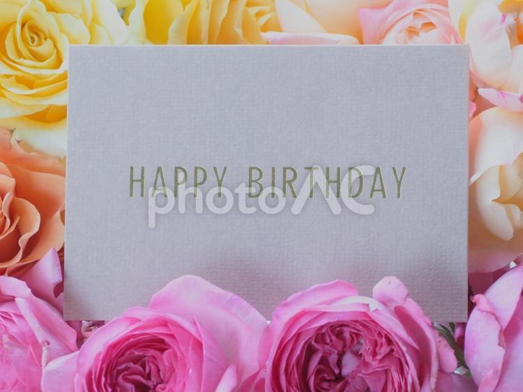 バラのメッセージカード　バースデー② メッセージカード,メッセージ,ハッピーバースデーの写真素材