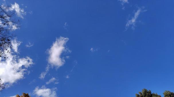 秋の青空と少しの雲 秋の青空と少しの雲の写真
