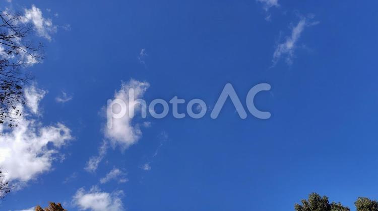 秋の青空と少しの雲 空,青空,雲の写真素材