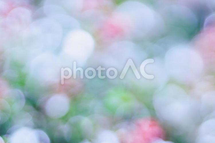 幻想的な玉ボケの背景素材 玉ボケ,夢,幻想的の写真素材