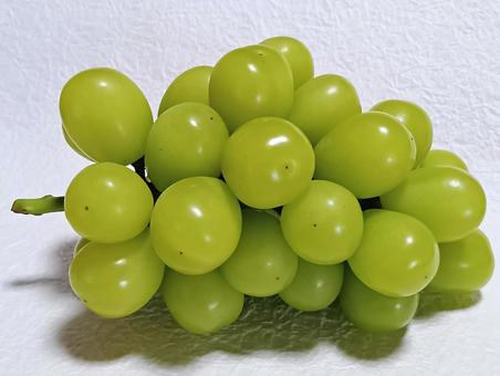 シャインマスカット シャインマスカット,ぶどう,フルーツの写真素材