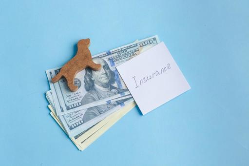 ペットと紙幣 保険,支払,預り金の写真素材