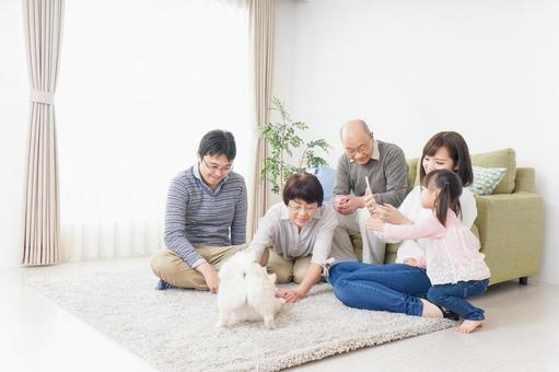 家族で犬と遊ぶ幸せな三世代ファミリー 家族で犬と遊ぶ幸せな三世代ファミリー 楽しい,子育て,おじいちゃんの写真素材